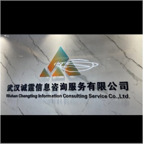 武汉诚霆信息咨询服务